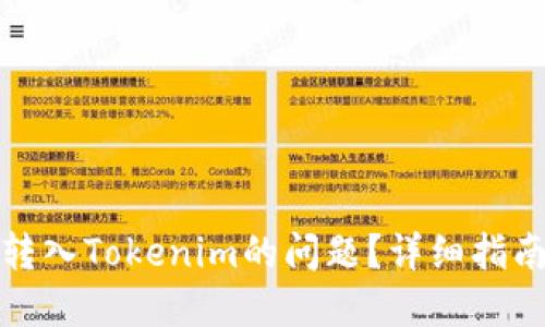 如何解决误转入Tokenim的问题？详细指南与解决方案