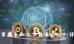 如何在苹果手机上下载币安APP：详细指南