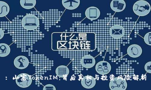: 山寨TokenIM：背后真相与投资风险解析