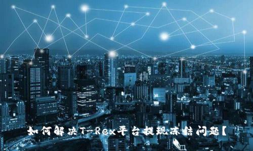 如何解决T-Rex平台提现冻结问题？