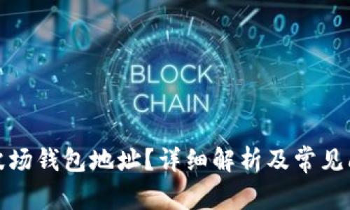 什么是波场钱包地址？详细解析及常见问题解答