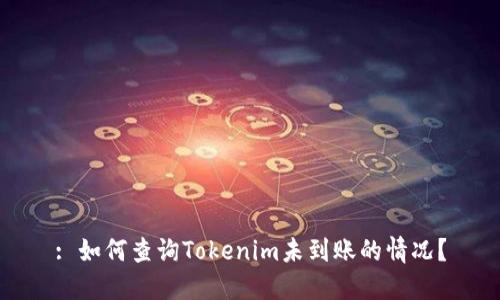 : 如何查询Tokenim未到账的情况？