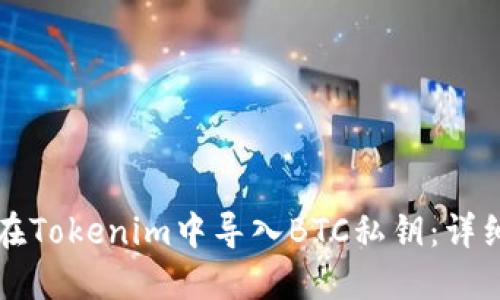 如何在Tokenim中导入BTC私钥：详细指南