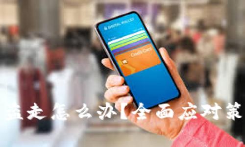 冷钱包的钱被盗走怎么办？全面应对策略与解决方案