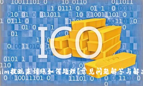 Tokenim提现未到账如何处理？常见问题解答与解决方案