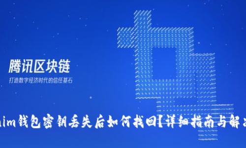 Tokenim钱包密钥丢失后如何找回？详细指南与解决方案