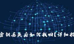 Tokenim钱包密钥丢失后如何找回？详细指南与解决