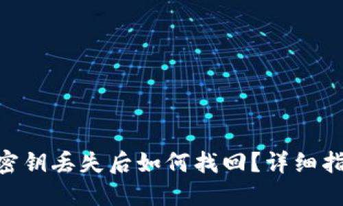 Tokenim钱包密钥丢失后如何找回？详细指南与解决方案