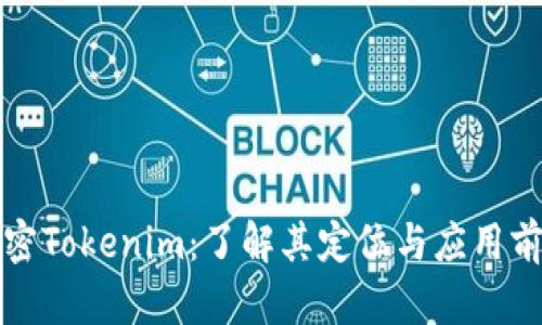 解密Tokenim：了解其定位与应用前景