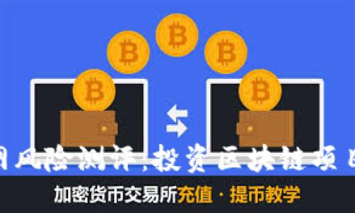 Tokenim官网风险测评：投资区块链项目的必读指南