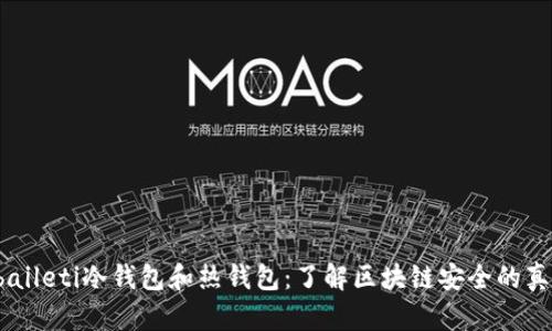  baileti冷钱包和热钱包：了解区块链安全的真相