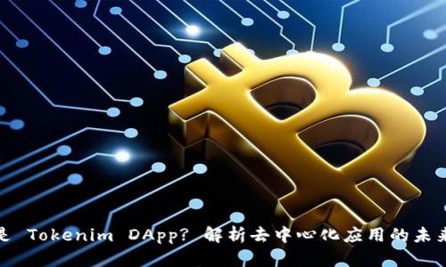 什么是 Tokenim DApp? 解析去中心化应用的未来趋势