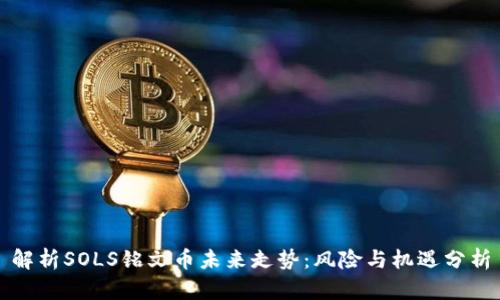 解析SOLS铭文币未来走势：风险与机遇分析