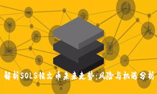 解析SOLS铭文币未来走势：风险与机遇分析
