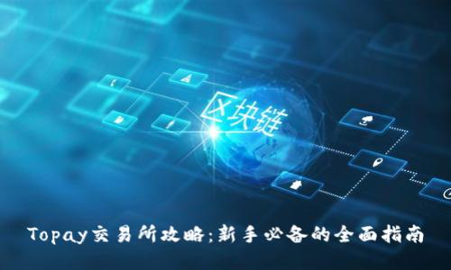 Topay交易所攻略：新手必备的全面指南