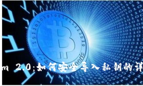 Tokenim 2.0：如何安全导入私钥的详细指南