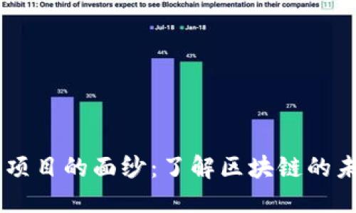 揭开OK链项目的面纱：了解区块链的未来与应用