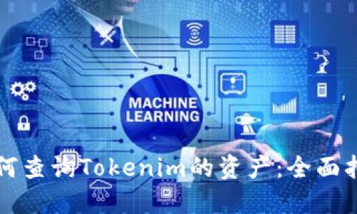 如何查询Tokenim的资产：全面指南
