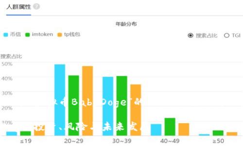 当然可以！以下是一个关于“虚拟币BabyDoge”的、相关关键词、大纲以及相应内容的思路。

深入了解虚拟币BabyDoge：投资、风险与未来发展