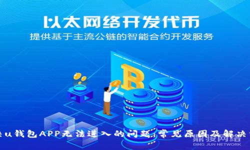 解决u钱包APP无法进入的问题：常见原因及解决方案