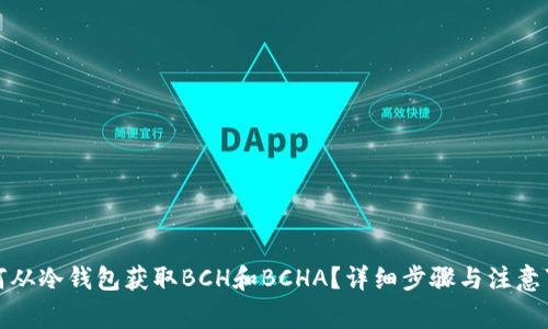 如何从冷钱包获取BCH和BCHA？详细步骤与注意事项