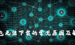 数字钱包无法下载的常见原因及解决方法