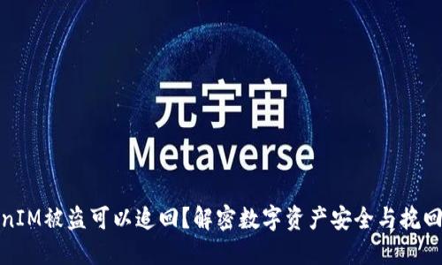 TokenIM被盗可以追回？解密数字资产安全与挽回之路
