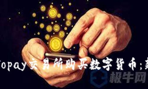 如何在Topay交易所购买数字货币：新手指南