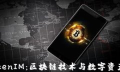 深入了解TokenIM：区块链技术与数字资产管理的变