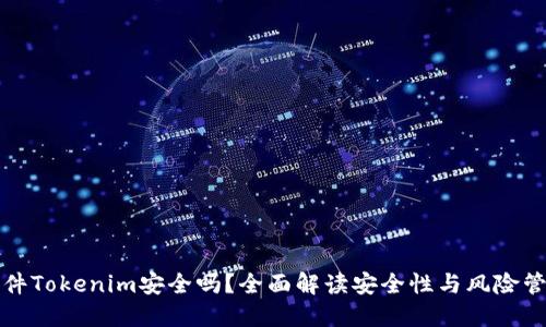 软件Tokenim安全吗？全面解读安全性与风险管理