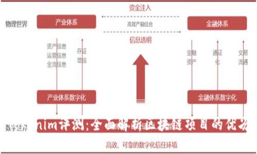 : Tokenim评测：全面解析区块链项目的优劣势