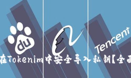 如何在Tokenim中安全导入私钥？全面指南