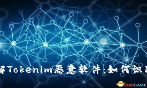 深入了解Tokenim恶意软件：如何识别与防范