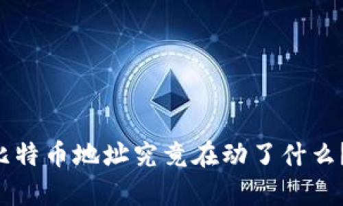 中本聪的比特币地址究竟在动了什么？真相揭晓！