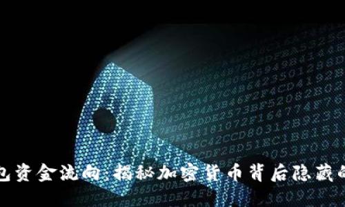 冷钱包资金流向：揭秘加密货币背后隐藏的秘密