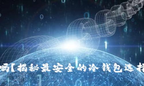 冷钱包安全吗？揭秘最安全的冷钱包选择与使用技巧