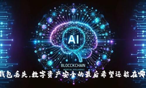 冷钱包丢失，数字资产安全的最后希望还能在哪里？