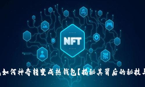 冷钱包如何神奇转变成热钱包？揭秘其背后的秘技与风险！