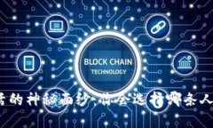 揭开生活的神秘面纱：你会选择哪条人生道路？