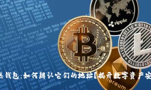 冷钱包与热钱包：如何辨认它们的地址？揭开数字资产安全的奥秘！