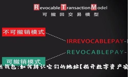 冷钱包与热钱包：如何辨认它们的地址？揭开数字资产安全的奥秘！