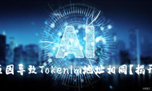 到底是什么原因导致Tokenim地址相同？揭开背后的秘密！