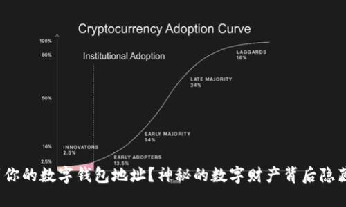 如何找到你的数字钱包地址？神秘的数字财产背后隐藏着什么？