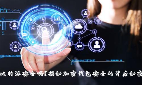 比特派安全吗？揭秘加密钱包安全的背后秘密