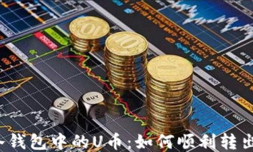 冷钱包中的U币:如何顺利转出?
