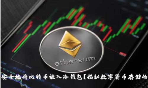 如何安全地将比特币放入冷钱包？揭秘数字货币存储的秘密