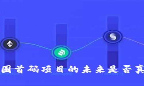 手机挖矿：币圈首码项目的未来是否真的触手可及？