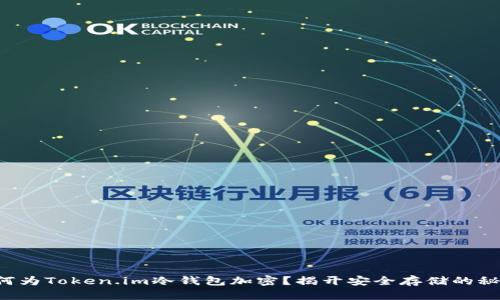 如何为Token.im冷钱包加密？揭开安全存储的秘密！
