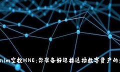 揭秘Tokenim空投MNE：你准备好迎接这场数字资产的