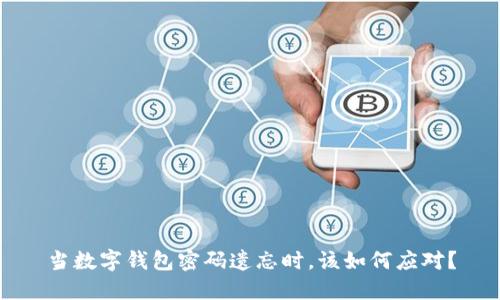 当数字钱包密码遗忘时，该如何应对？